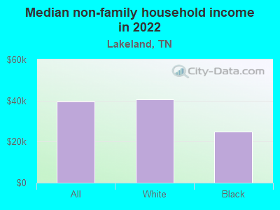 Median non-family household income in 2022