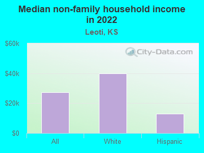 Median non-family household income in 2022