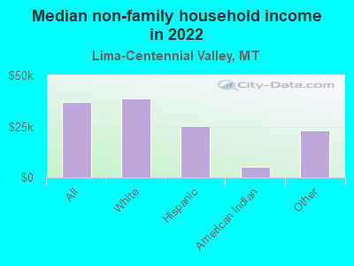 Median non-family household income in 2022