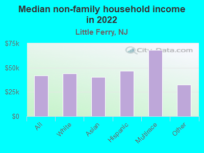 Median non-family household income in 2022