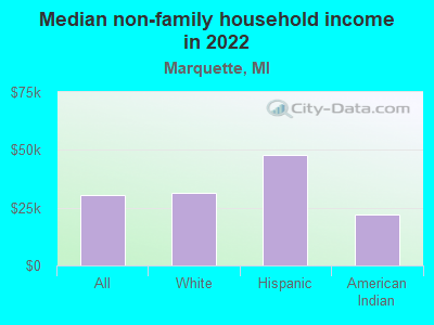 Median non-family household income in 2022