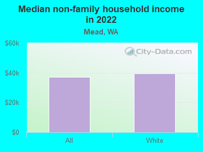 Median non-family household income in 2022