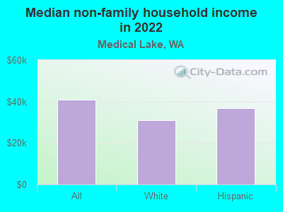 Median non-family household income in 2022