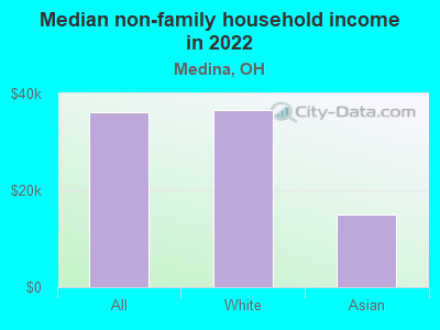 Median non-family household income in 2022