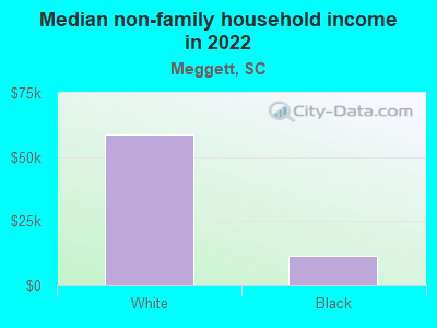 Median non-family household income in 2022