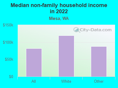 Median non-family household income in 2022