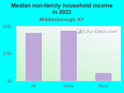 Median non-family household income in 2022