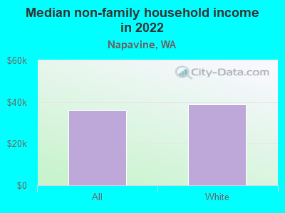 Median non-family household income in 2022