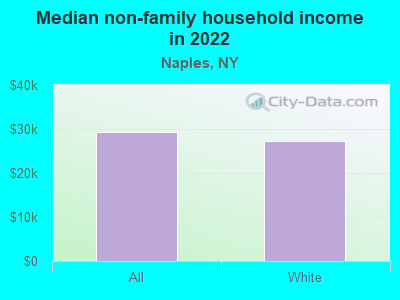 Median non-family household income in 2022