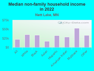 Median non-family household income in 2022