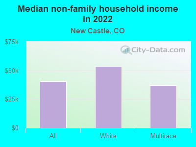 Median non-family household income in 2022