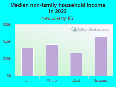 Median non-family household income in 2022