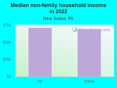 Median non-family household income in 2022