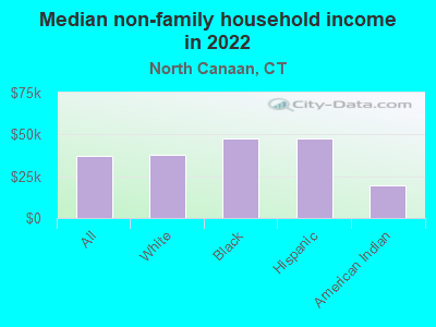 Median non-family household income in 2022