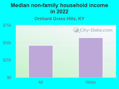 Median non-family household income in 2022