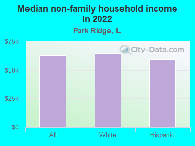 Median non-family household income in 2022