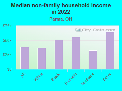 Median non-family household income in 2022