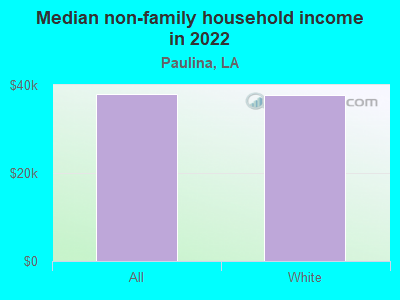 Median non-family household income in 2022