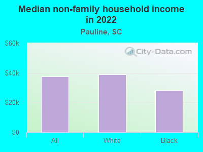 Median non-family household income in 2022