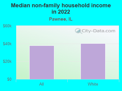 Median non-family household income in 2022