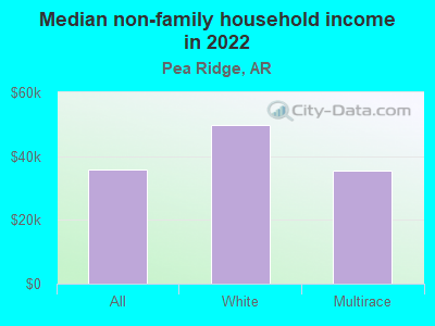 Median non-family household income in 2022