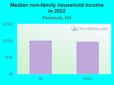 Median non-family household income in 2022