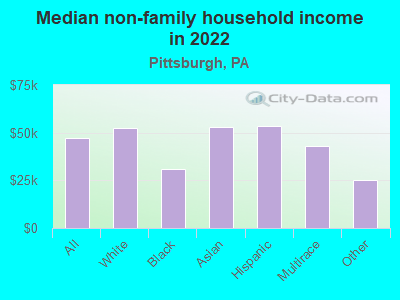 Median non-family household income in 2022