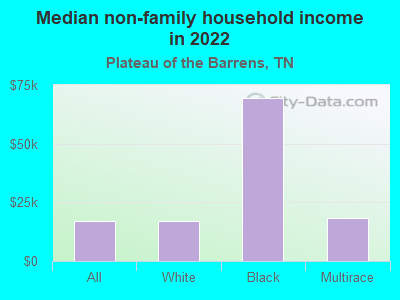 Median non-family household income in 2022