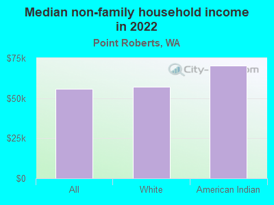 Median non-family household income in 2022