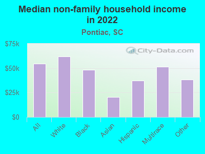 Median non-family household income in 2022