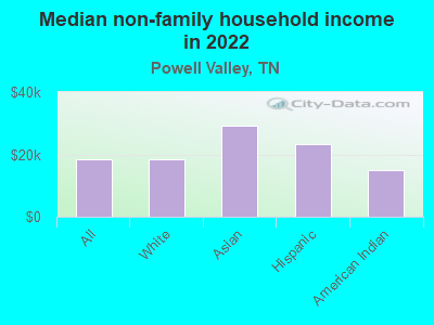 Median non-family household income in 2022