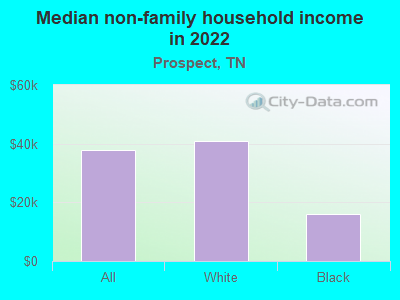 Median non-family household income in 2022