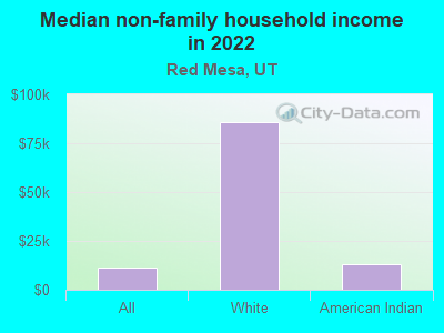 Median non-family household income in 2022