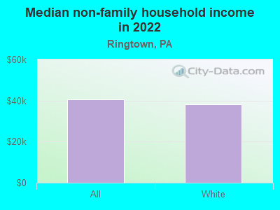 Median non-family household income in 2022