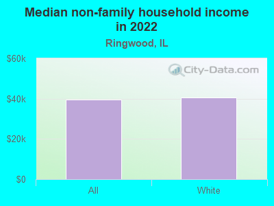 Median non-family household income in 2022