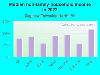 Median non-family household income in 2022