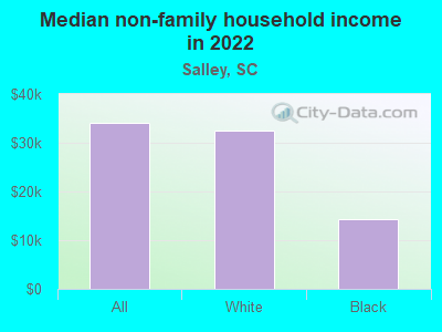 Median non-family household income in 2022