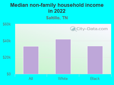 Median non-family household income in 2022