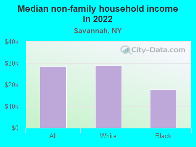 Median non-family household income in 2022