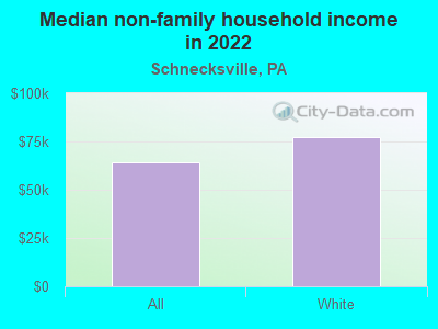 Median non-family household income in 2022