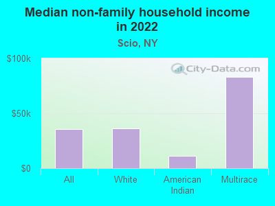 Median non-family household income in 2022