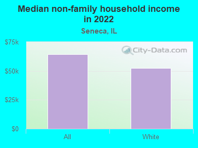 Median non-family household income in 2022