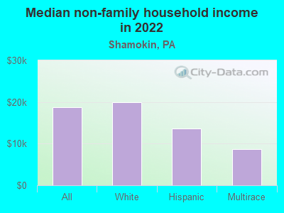 Median non-family household income in 2022