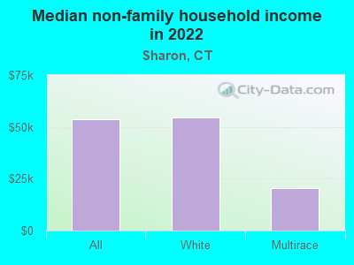 Median non-family household income in 2022