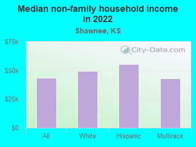 Median non-family household income in 2022