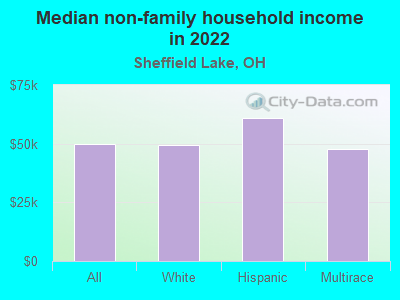 Median non-family household income in 2022