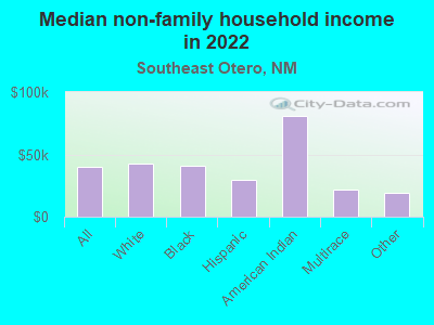 Median non-family household income in 2022