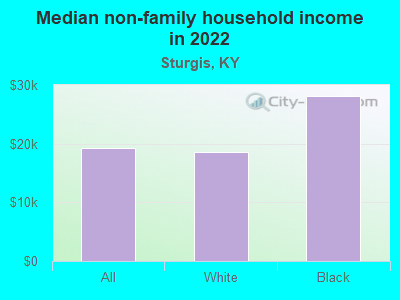 Median non-family household income in 2022