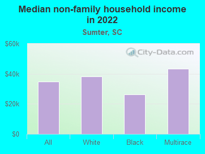 Median non-family household income in 2022