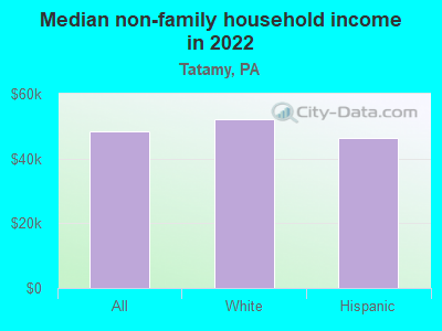 Median non-family household income in 2022